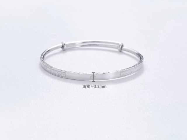 千禧之星铂金多少钱一克(2026年02月11日)