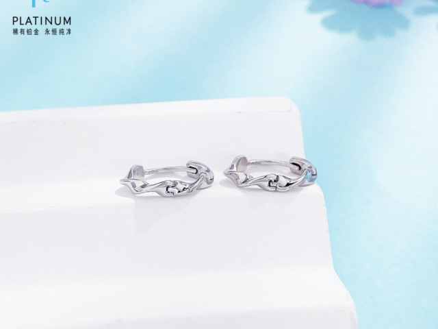 熊猫银币周年纪念币价格（2026年3月15日）