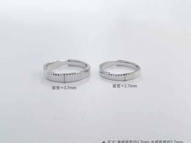 熊猫银币周年纪念币价格（2026年2月28日）