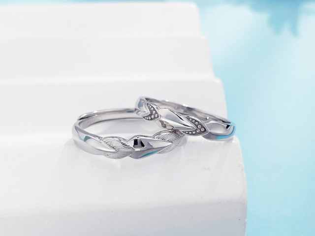 菜百最新PT950铂金多少钱一克（2026年01月19日）