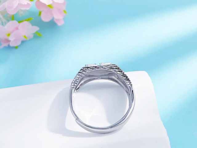 2025乙巳年1公斤金制纪念币价格(2026年02月13日)