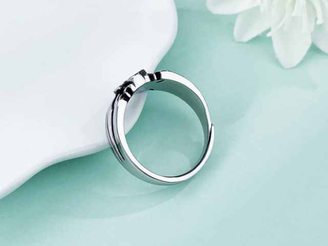 2025乙巳年150克彩色金币价格（2026年02月25日）