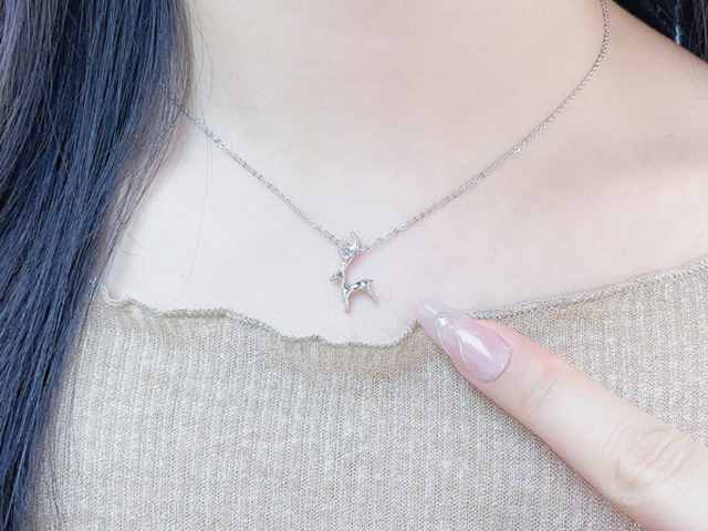 北京菜百铂金多少钱一克(2026年01月20日)参考价格