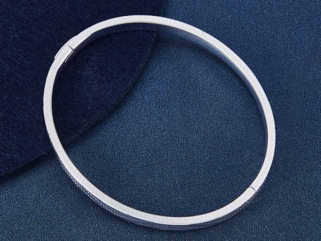 福泰珠宝铂金多少钱一克(2026年01月19日)