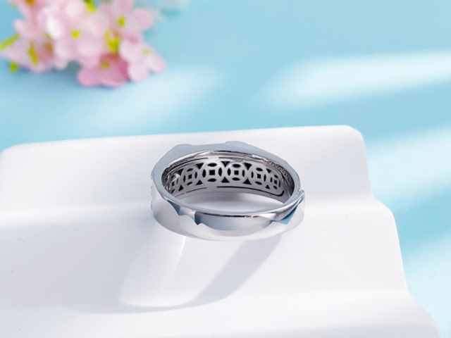 2025蛇年30克银币价格（2026年2月2日）