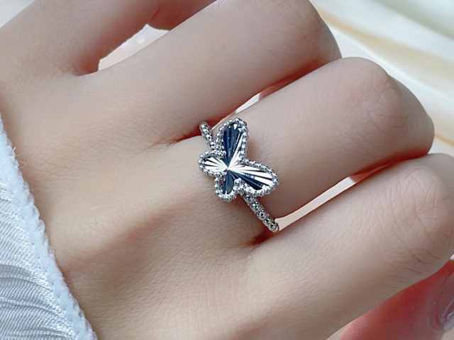 菜百最新PT999铂金多少钱一克（2026年02月03日）