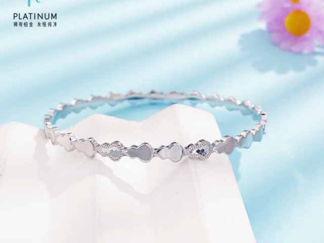 第24届冬奥会金银纪念币价格表（2026年02月27日）