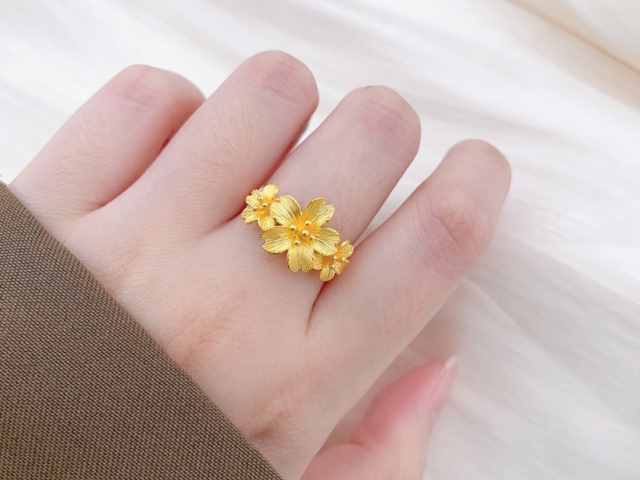 宝泉钱币银条多少钱一克（2026年02月24日）