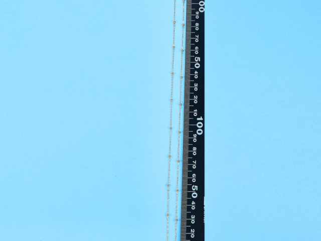 12生肖公斤银币价格（2026年3月18日）