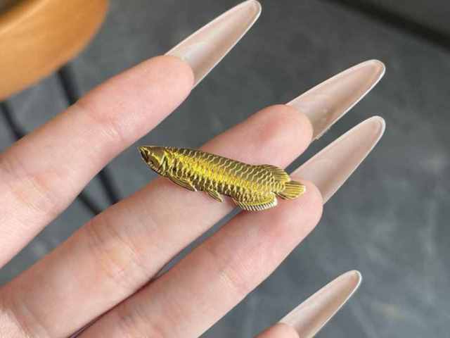 世博会生肖金条价格今天多少一克（2026年01月20日）