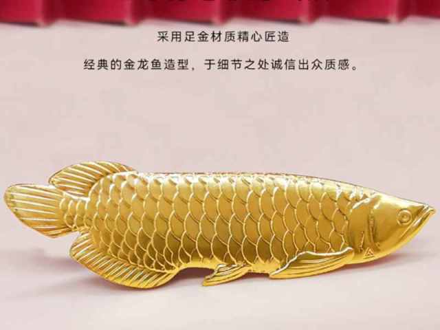 中国黄金投资金条价格今天多少一克(2026年02月25日)