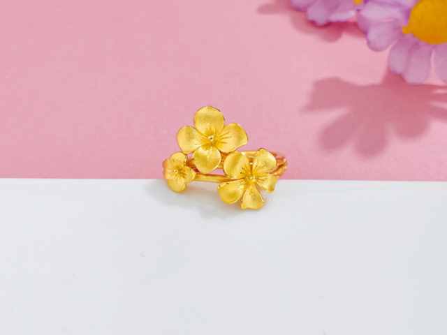 第19届杭州亚运会5克金质纪念币多少钱（2026年02月04日）