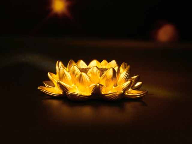 金店黄金价格多少钱一克（2026年2月25日）