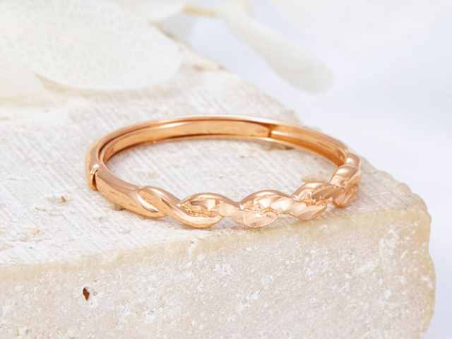 2026年10元蛇年纪念币多少钱一枚（2026年2月25日）