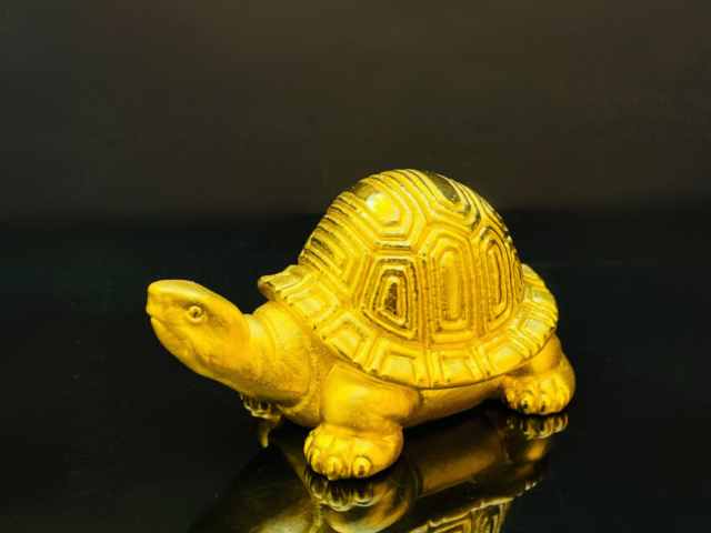 常州金店白金今日价格一克多少钱（2026年03月30日）