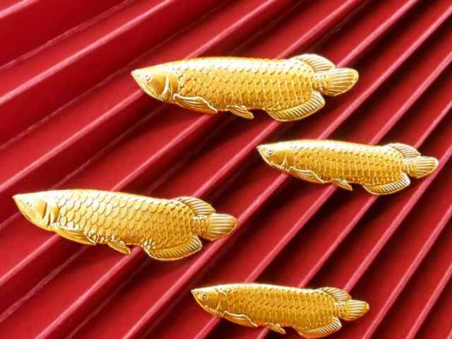 南宁老庙黄金多少钱一克（2026年2月13日）