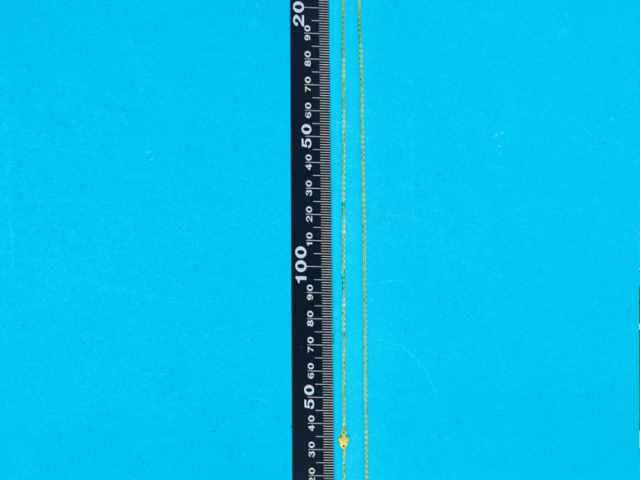 江南省造老银元价格（2026年1月27日）