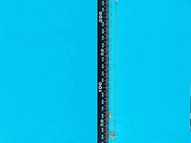 吉盟首饰黄金价格今天多少一克(2026年02月03日)