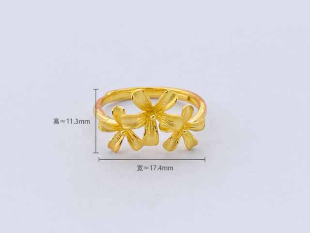 宝庆银楼铂金多少钱一克（2026年02月25日）